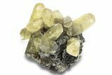 Yellow Calcite Crystals and Pyrite on Dolomite - Missouri #252161-1